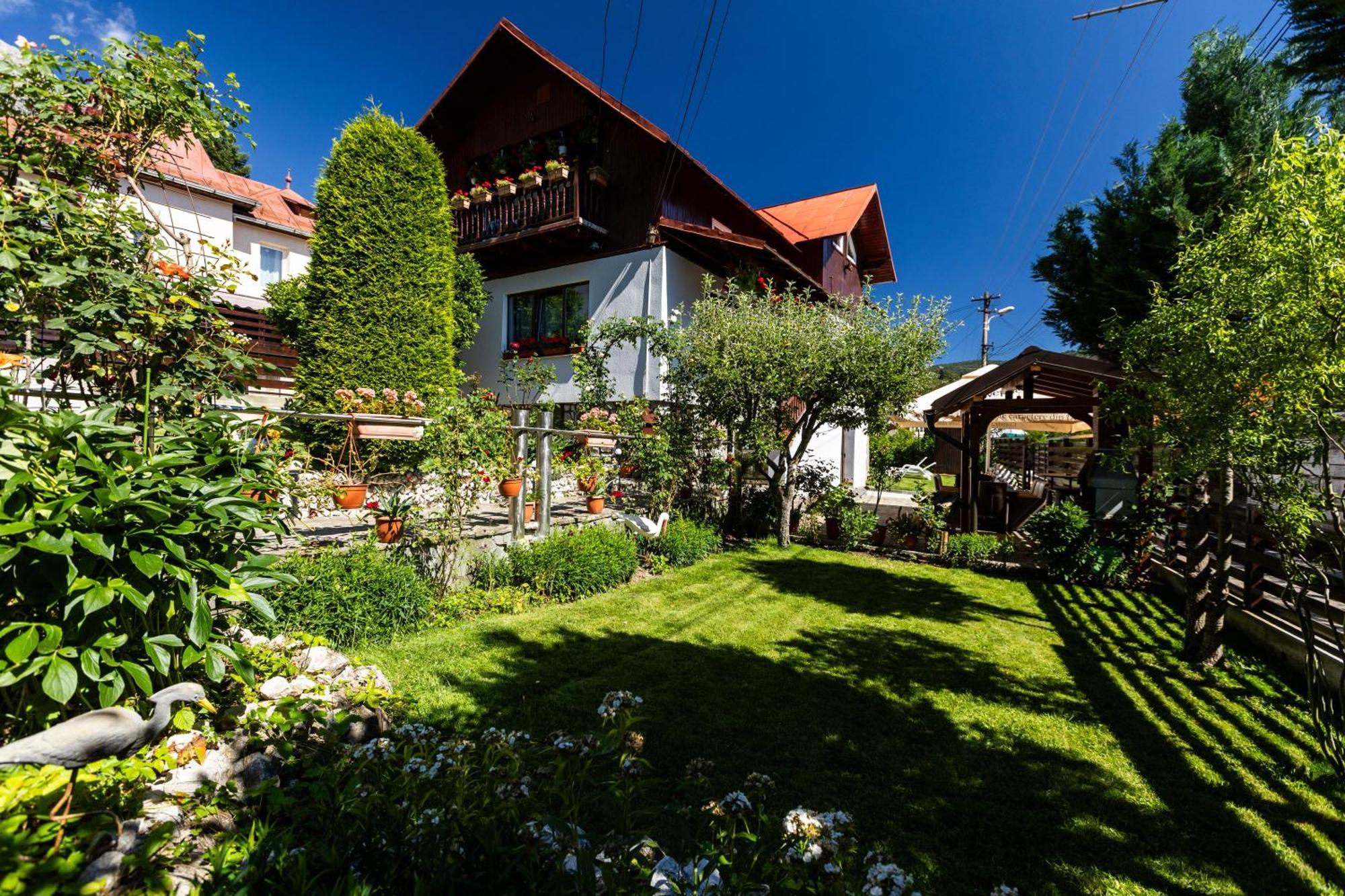 Villa Falco Bianco Busteni Exterior photo