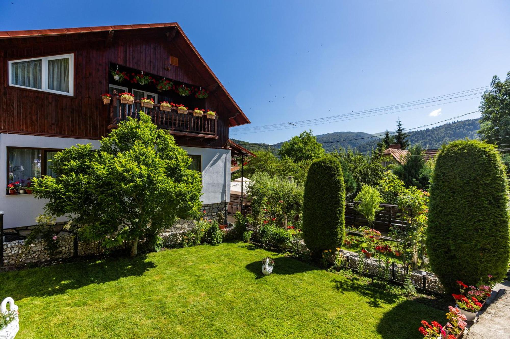 Villa Falco Bianco Busteni Exterior photo